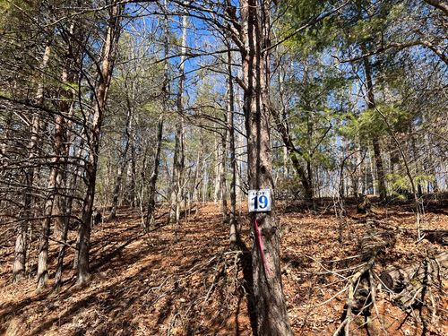 Lot 19 Mission Ridge Ct, Hayesville, NC, 28904-1090 | Card Image