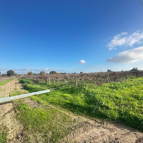 27350 Thornton Rd, Thornton, CA, 95686 | Card Image