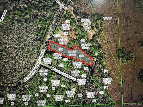 10043 W Holloway Path, CRYSTAL RIVER, FL, 34429-5391 | Card Image