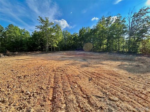 0 Tract D Highway Vv, Licking, MO, 65560 | Card Image