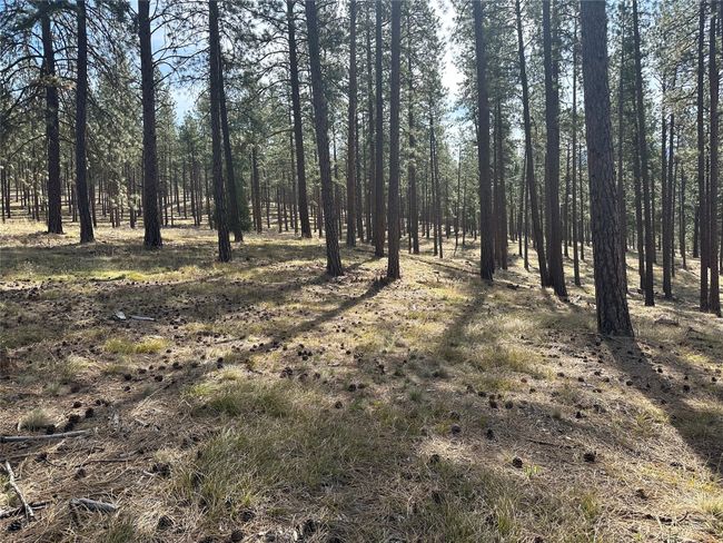 31760 Old Highway 10 W, Home with 0 bedrooms, 0 bathrooms and null parking in Alberton MT | Image 34