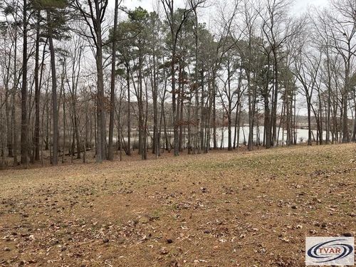 0 Catfish Rd, Buchanan, TN, 38222 | Card Image
