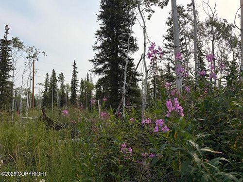 Lot 15 Drucke Miller Road, Tok, AK, 99780 | Card Image