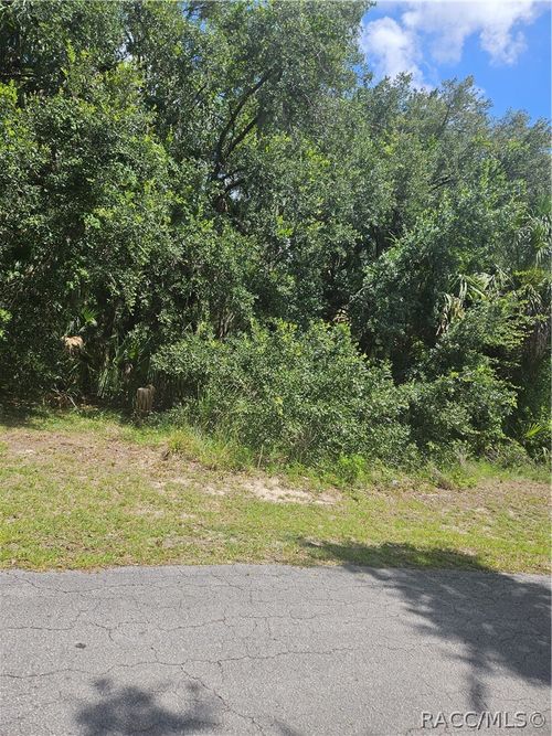 60 Camellia Ave, CRYSTAL RIVER, FL, 34429-5310 | Card Image