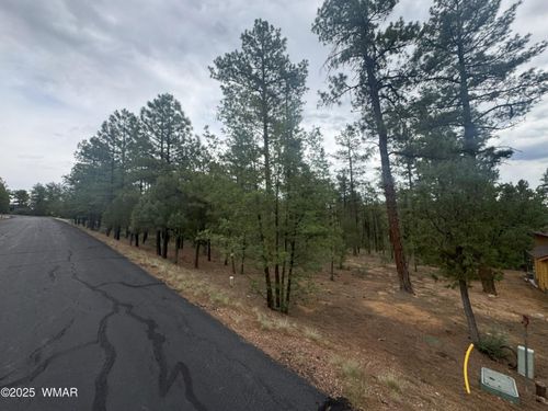 1400 E Pine Oaks Dr, Show Low, AZ, 85901-7367 | Card Image