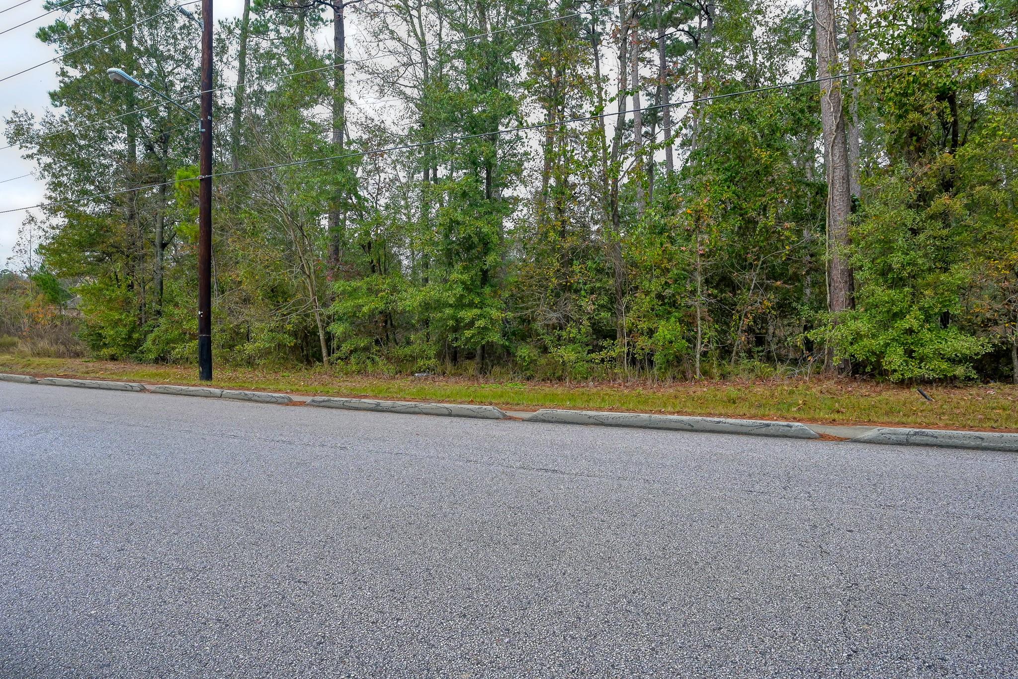 Land in Conroe 4
