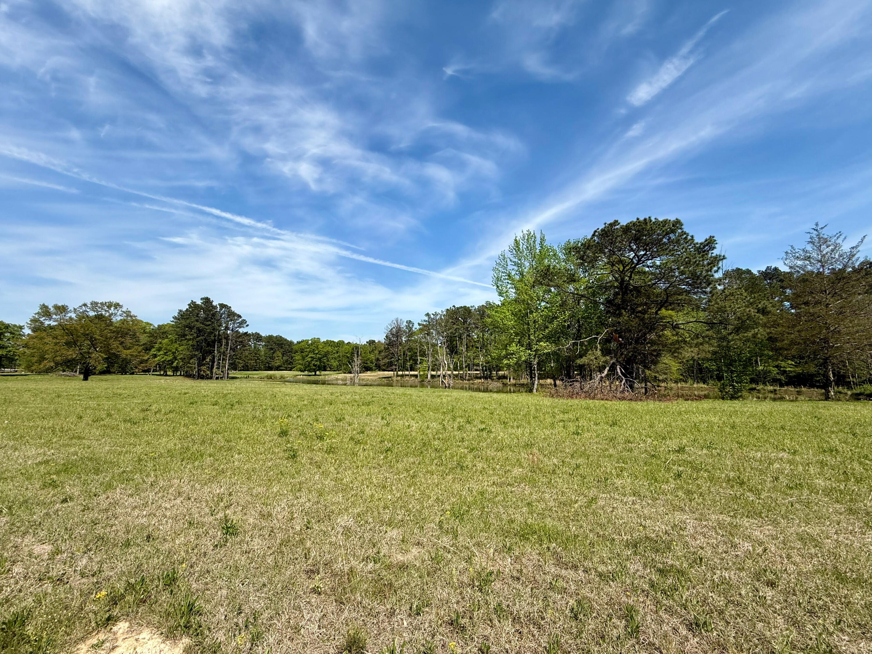 Land in Saltillo 2