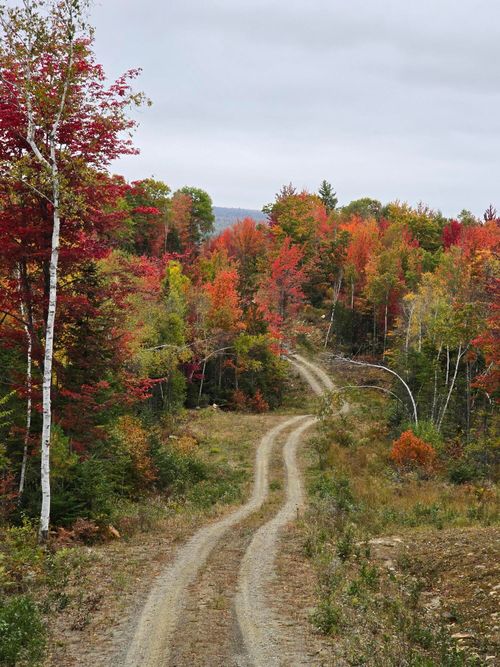Lot #4 Woods Road, Phillips, ME, 04966 | Card Image