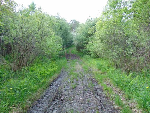 2-00 Us Route 2, Saint Johnsbury, VT, 05819 | Card Image