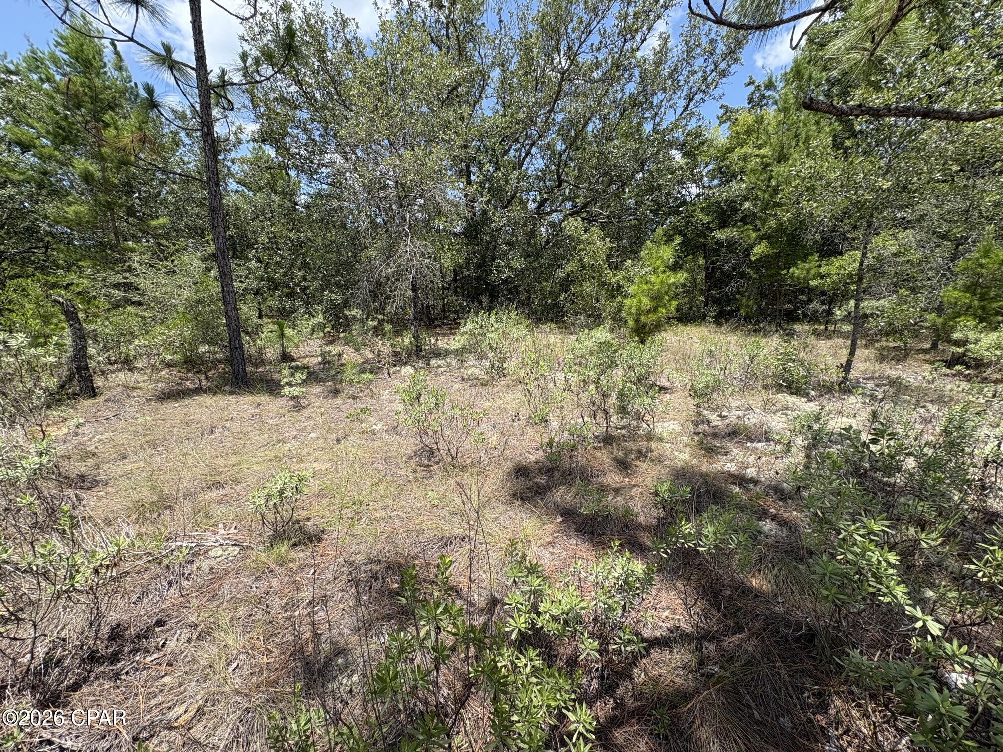 Land in Chipley 2
