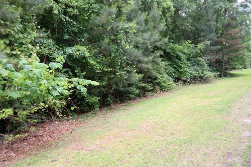 LT.103 Village Ct., Sparta, GA, 31087 | Card Image