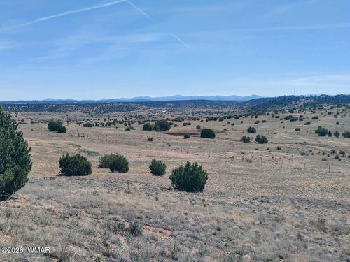 lot-102-1221 W Farmhouse Dr, Taylor, AZ, 85939-2388 | Card Image