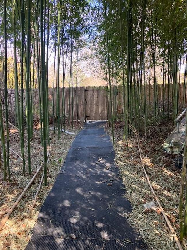 View of street | Image 29