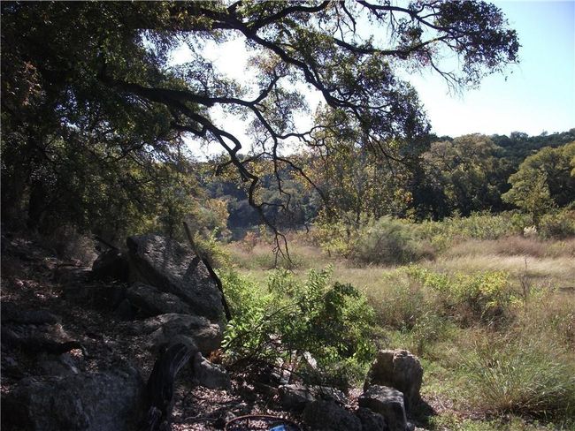View of local wilderness with a wooded view | Image 17