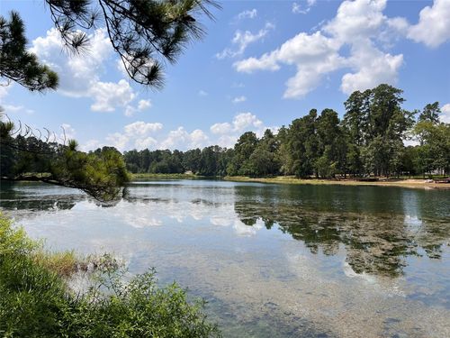 15218 Milton Whatley Dr, Montgomery, TX, 77356-3486 | Card Image