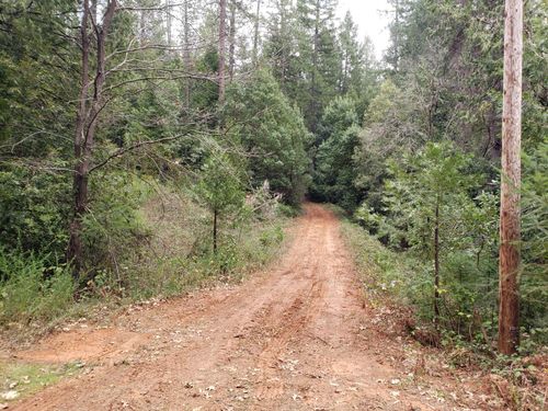 10012 La Porte Rd, Challenge, CA, 95925-9502 | Card Image