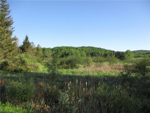 Lot 1 State Route 80, Smyrna, NY, 13464 | Card Image