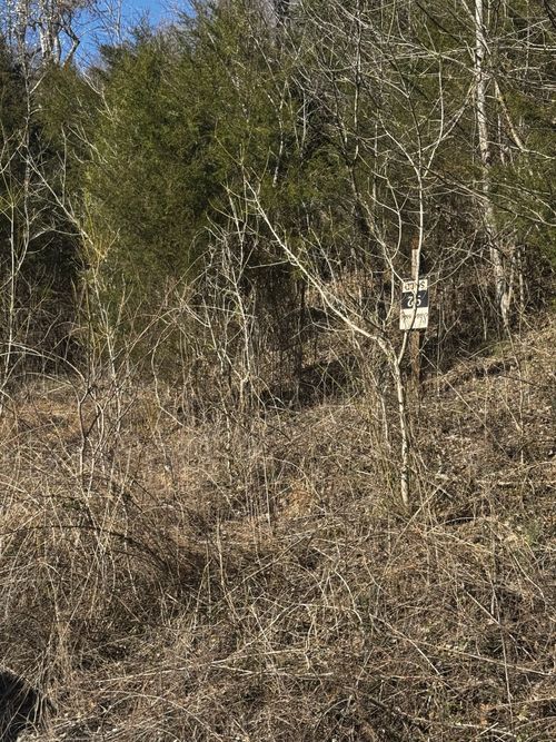 92 Shoreside Dr, Smithville, TN, 37166 | Card Image