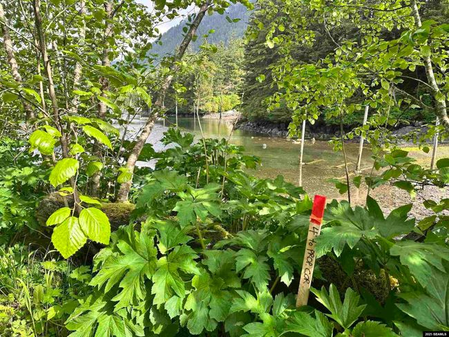 100 Yakobi Way, Home with 0 bedrooms, 0 bathrooms and null parking in Sitka AK | Image 7