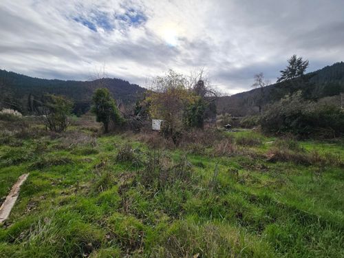 232 Myers Ave, Myers Flat, CA, 95554 | Card Image