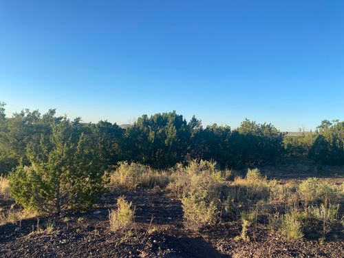 Lot 10 S Sunset Dr, Eagar, AZ, 85925 | Card Image