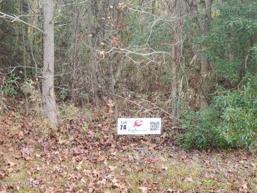 74 Eagle Nest Trl, Blounts Creek, NC, 27814 | Card Image