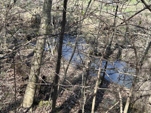 0 Poplar Sprimgs Rd, Savannah, TN, 38372 | Card Image