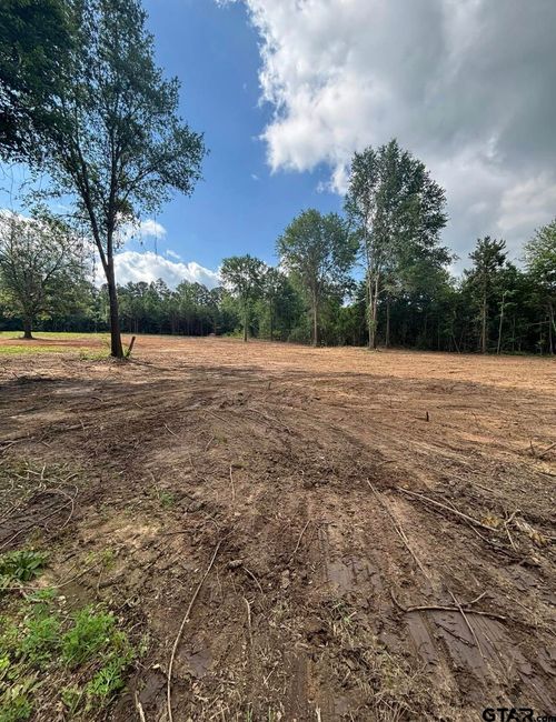 TBD Fm 345 Lot 2, Arp, TX, 75750 | Card Image