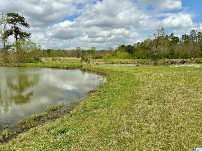 12325 Us Highway 411 N, House other with 3 bedrooms, 3 bathrooms and null parking in Centre AL | Image 49