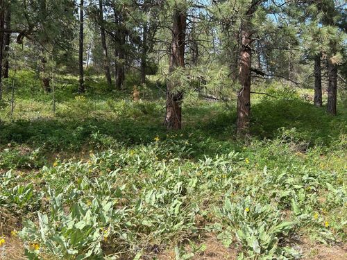 0 xxx 6th St, Cle Elum, WA, 98922 | Card Image