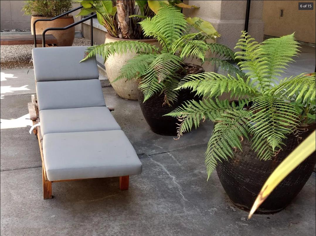 Residential Lease in San Francisco 5