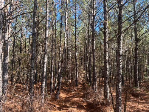 6 Red Oak Rd, Cottageville, SC, 29435-3800 | Card Image