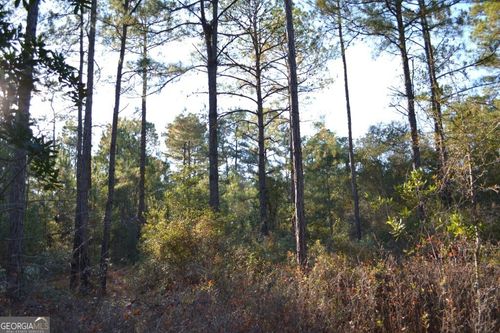 tract-2-0 Us Highway 1 N, Swainsboro, GA, 30401 | Card Image