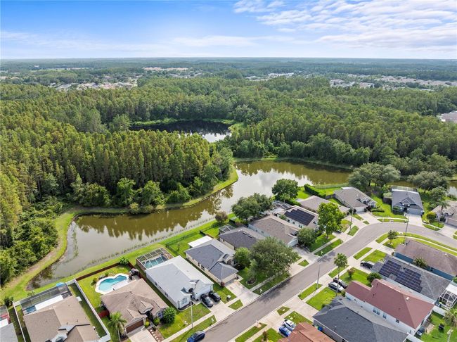 30638 Nickerson Loop, House other with 4 bedrooms, 2 bathrooms and null parking in WESLEY CHAPEL FL | Image 34