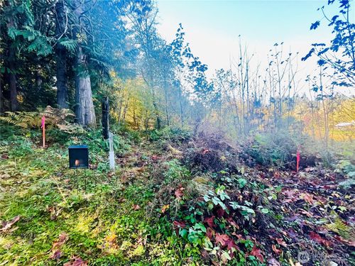 0 Valley Ridge Rd, Chehalis, WA, 98532 | Card Image