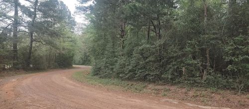 TBD County Road 165, Long Branch, TX, 75669 | Card Image