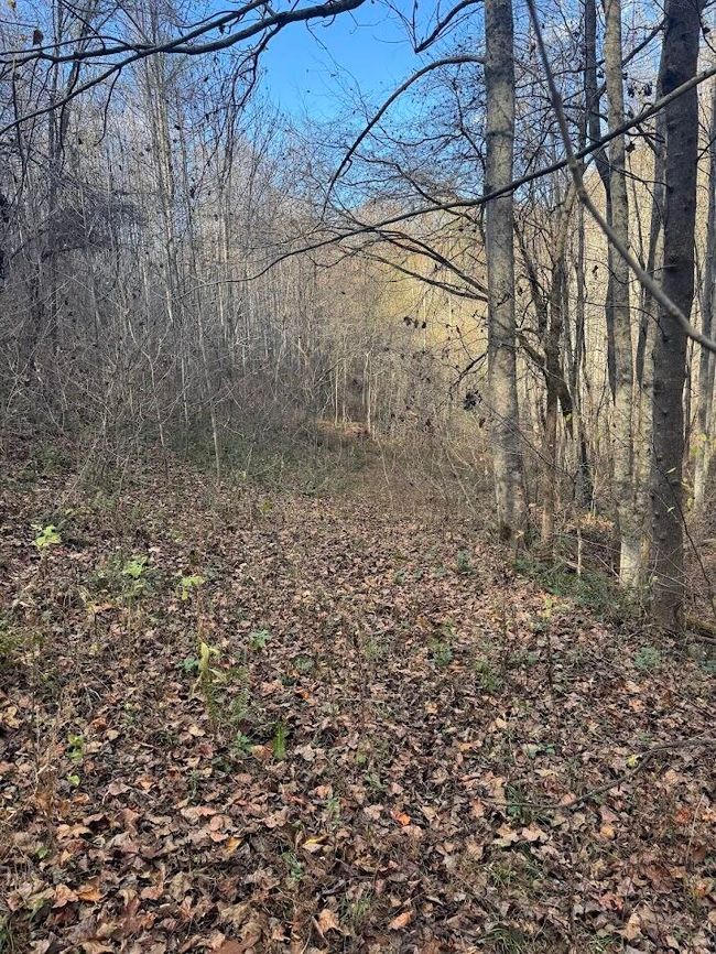 286 Willie Rd, House other with 2 bedrooms, 1 bathrooms and null parking in Thorn Hill TN | Image 13