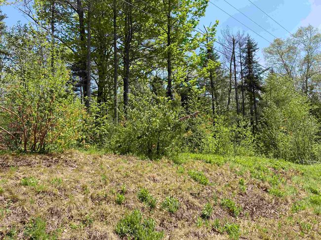 lot 5 Nh Route 4a, Home with 0 bedrooms, 0 bathrooms and null parking in Grafton NH | Image 9