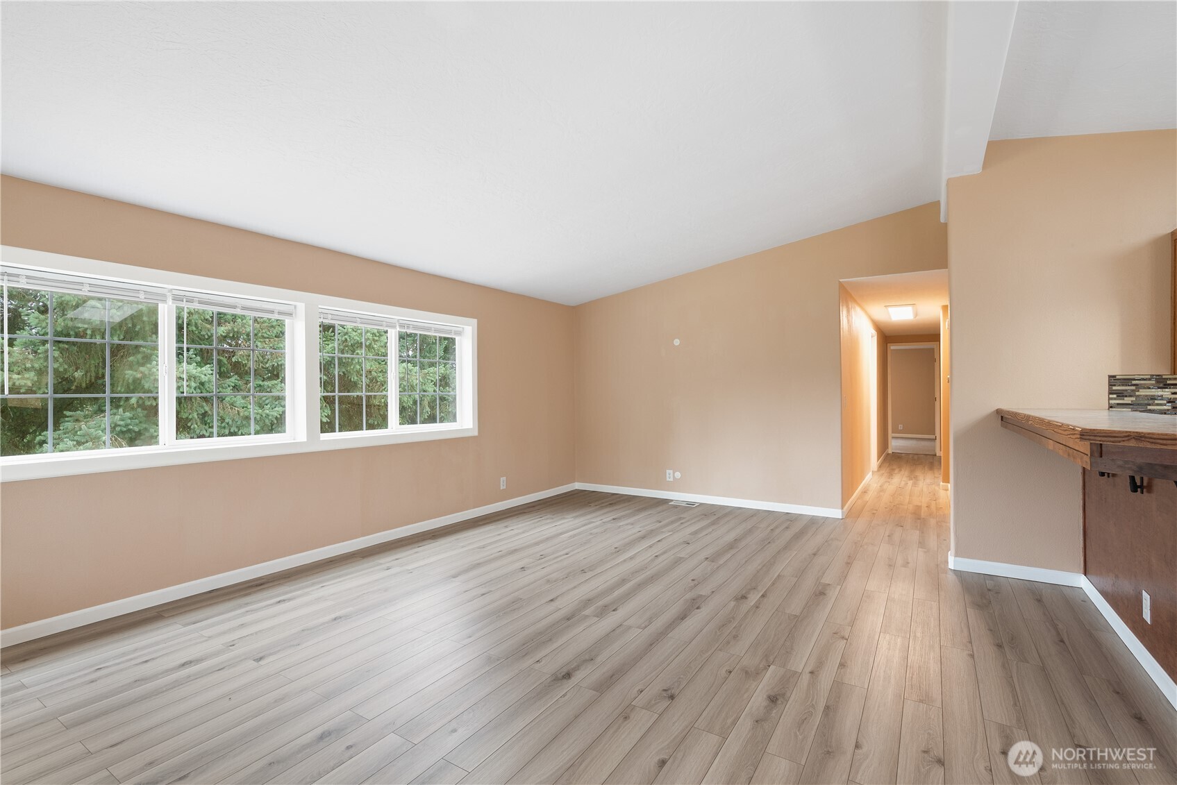 Residential in Castle Rock 5