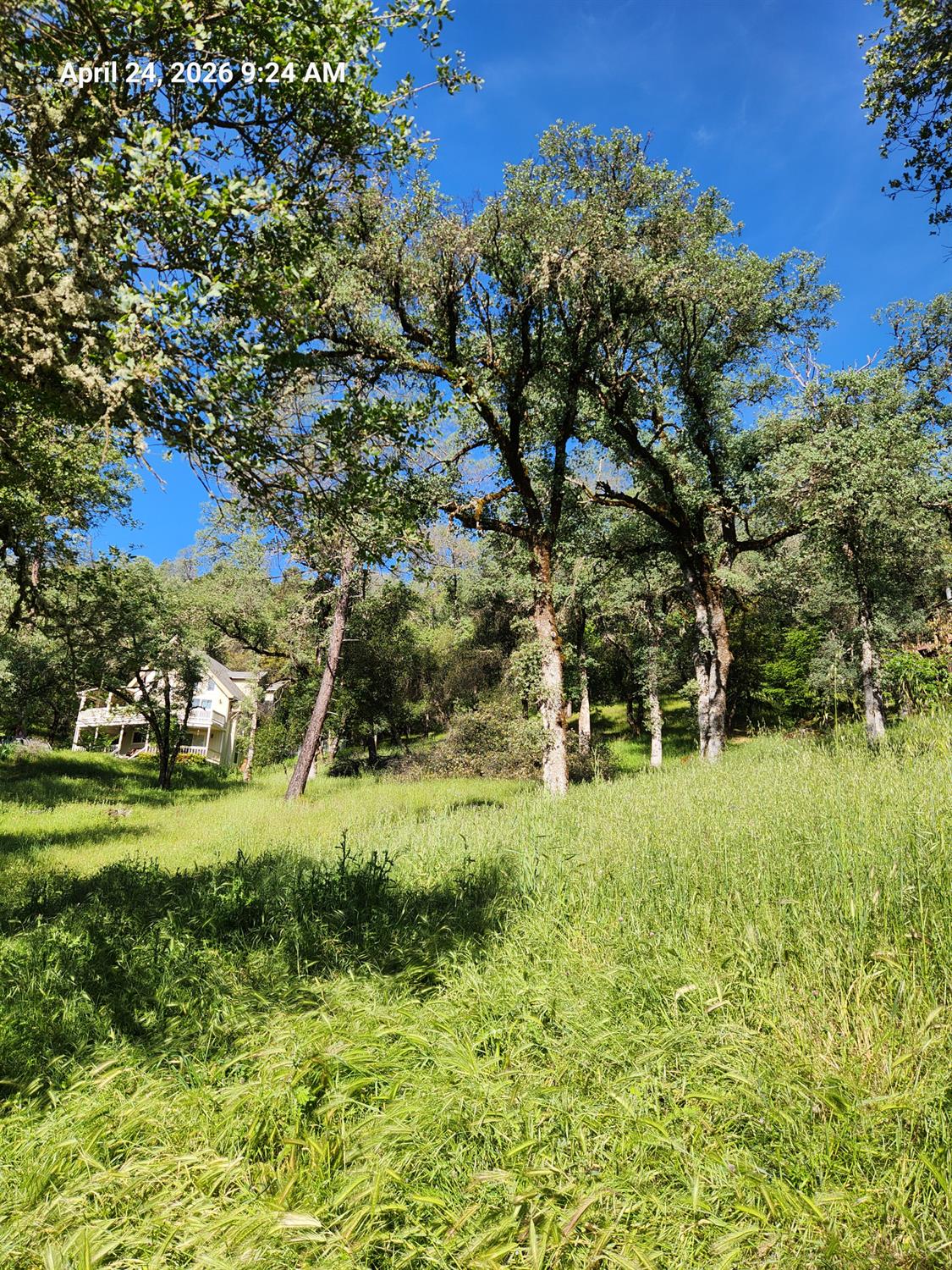Land in Grass Valley 3