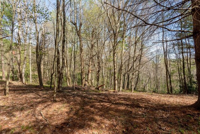 4 Trillium Ridge Rd, Home with 0 bedrooms, 0 bathrooms and null parking in Cullowhee NC | Image 6