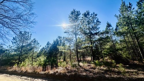 0 Loon Rd, Barnwell, SC, 29812 | Card Image