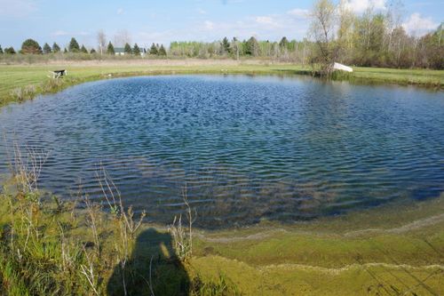 1758 E Manor Rd, Au Gres, MI, 48703-9528 | Card Image