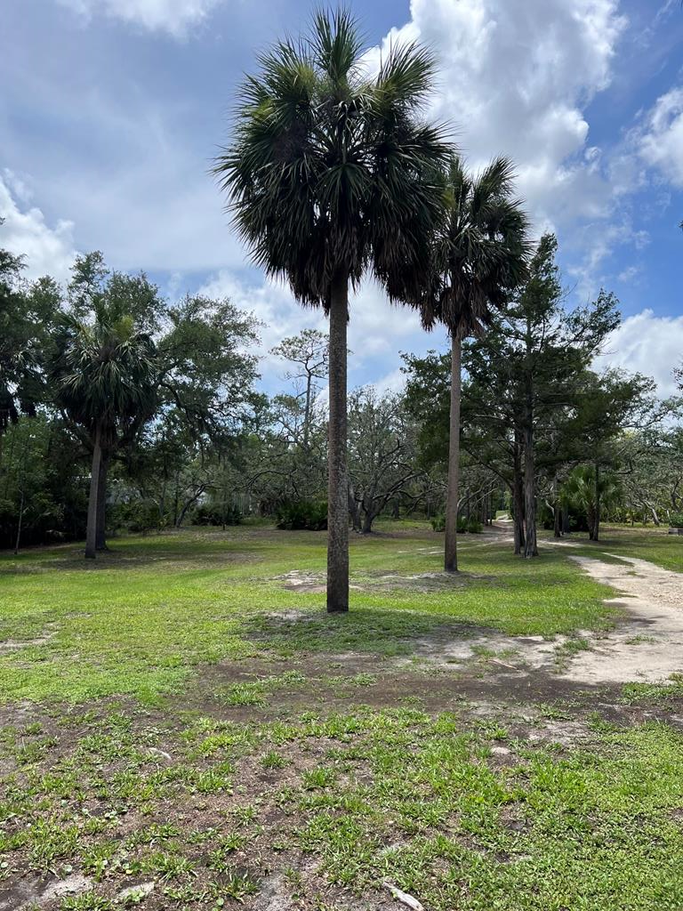 Land in Steinhatchee 2