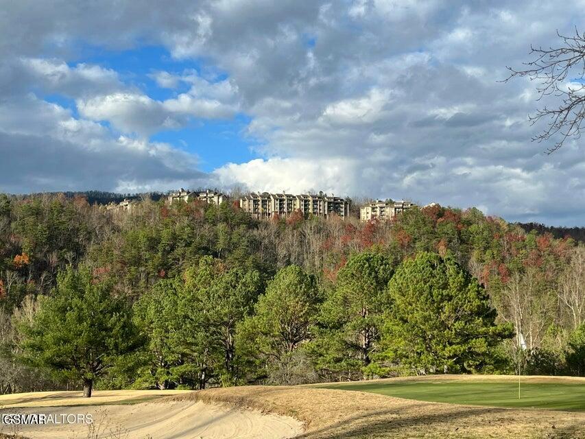 Residential in Gatlinburg 3