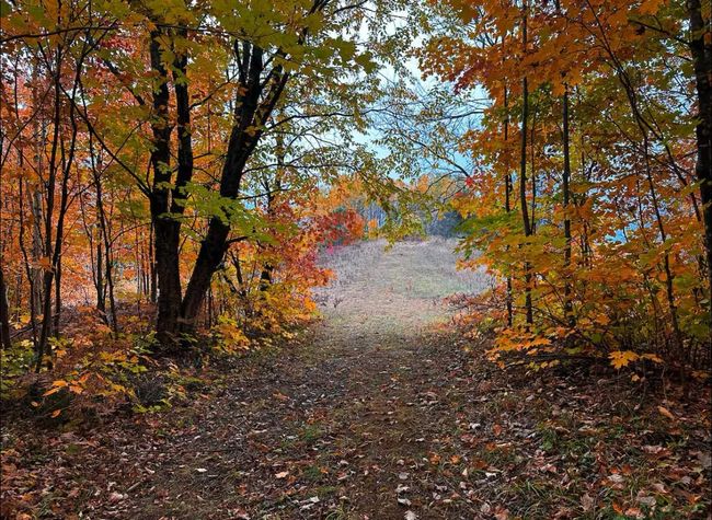 13906 Himanka Hill Rd, House other with 1 bedrooms, 1 bathrooms and null parking in Bruce Crossing MI | Image 38