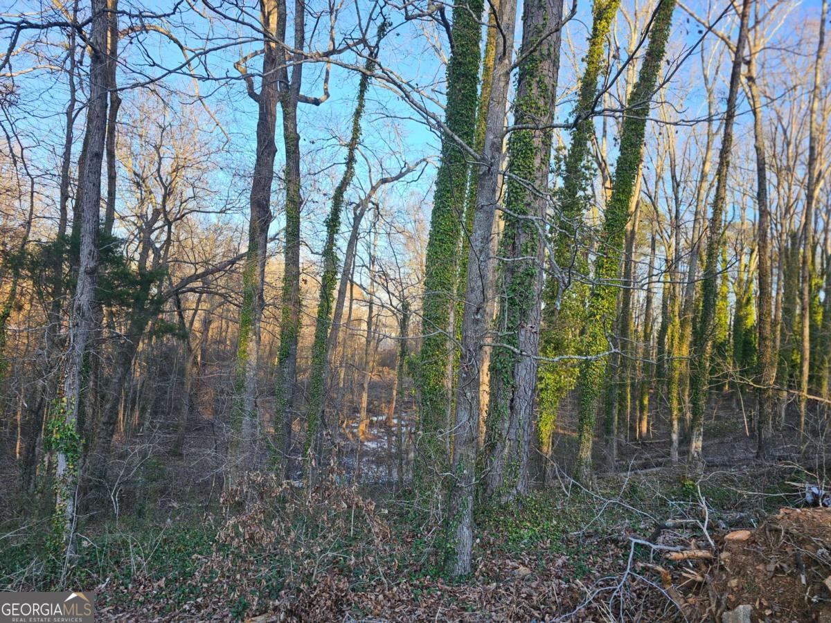 Land in Conyers 2