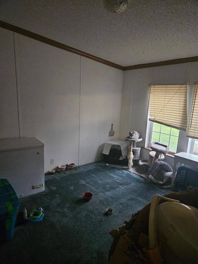 Miscellaneous room with ornamental molding, carpet floors, and a textured ceiling | Image 39