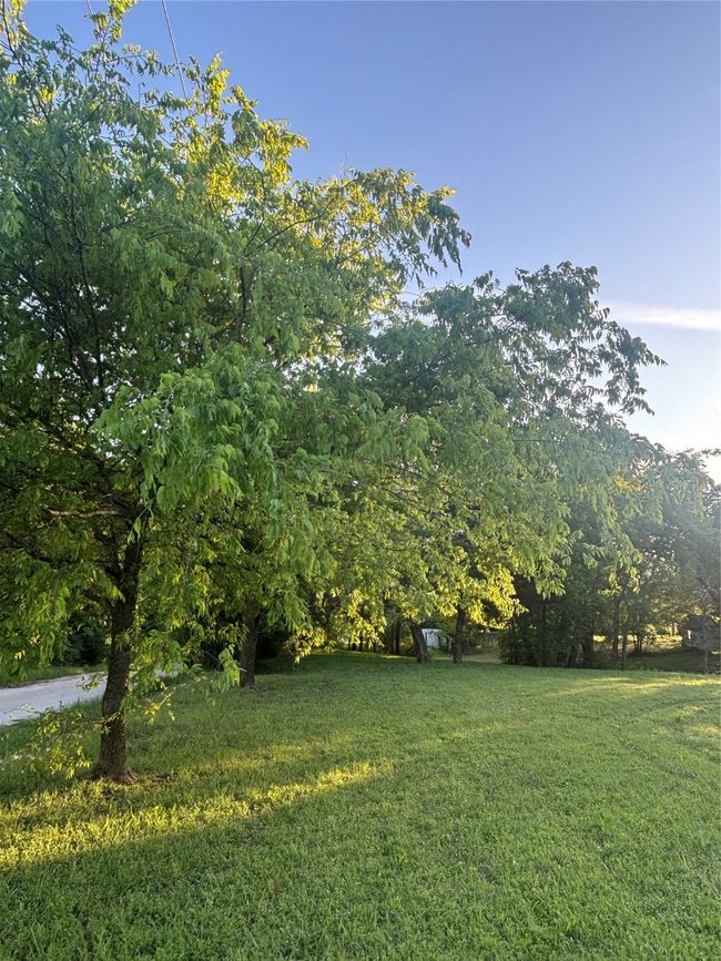 0 E Williams St, Home with 0 bedrooms, 0 bathrooms and null parking in Saint Jo TX | Image 18