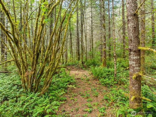 0 Lincoln Creek Rd, Rochester, WA, 98579 | Card Image